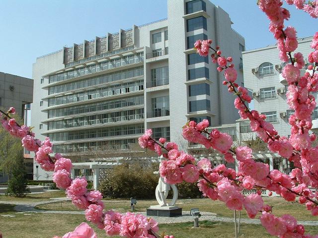 日逼网www.